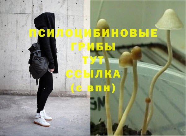 меф Алексин