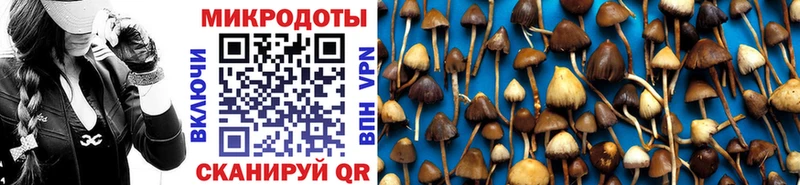 ОМГ ОМГ онион  Копейск  Псилоцибиновые грибы Psilocybe  площадка телеграм  купить  
