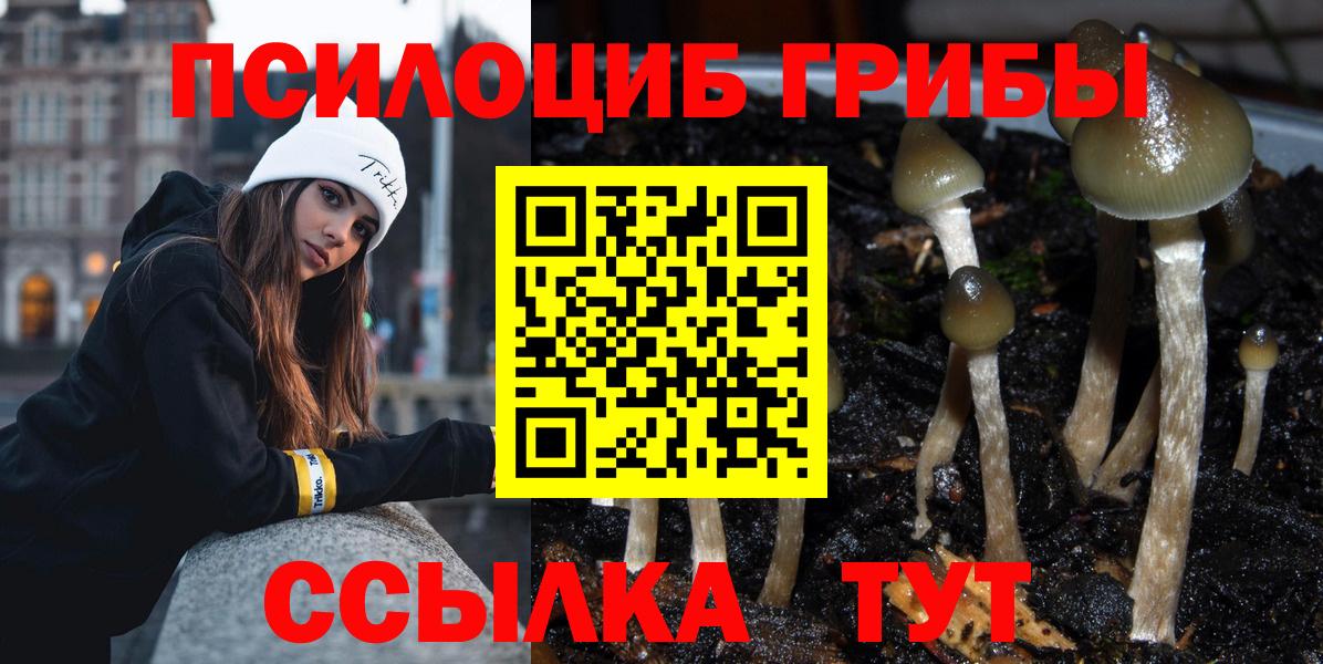 Копейск  Галлюциногенные грибы Psilocybe  Вход с VPN 