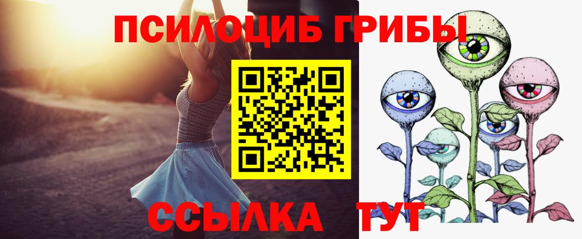 Псилоцибиновые грибы GOLDEN TEACHER Копейск